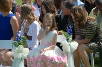 wedding guests 2