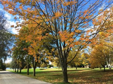 Door county Fall Lodging at The Lodge at Leathem Smith